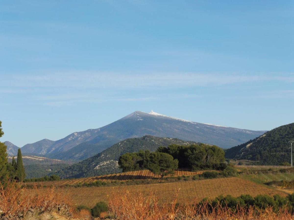 萨尔里昂Desir De Provence住宿加早餐旅馆 外观 照片