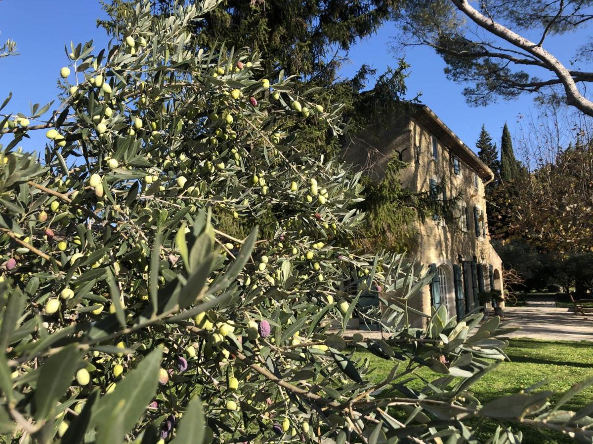 萨尔里昂Desir De Provence住宿加早餐旅馆 外观 照片